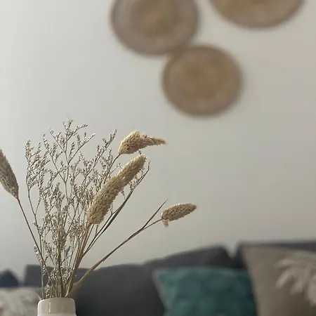 Apartment * Premia De Dalt